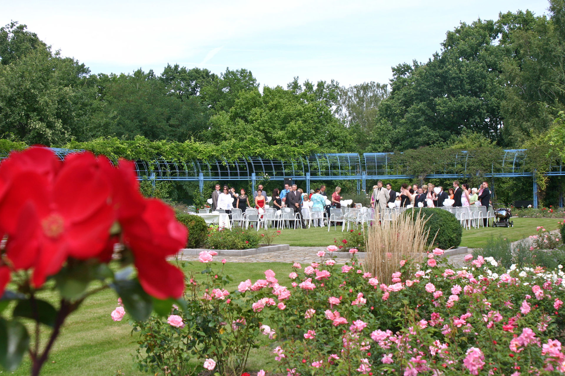 Viele Menschen auf einer Veranstaltung in einem schönen Park