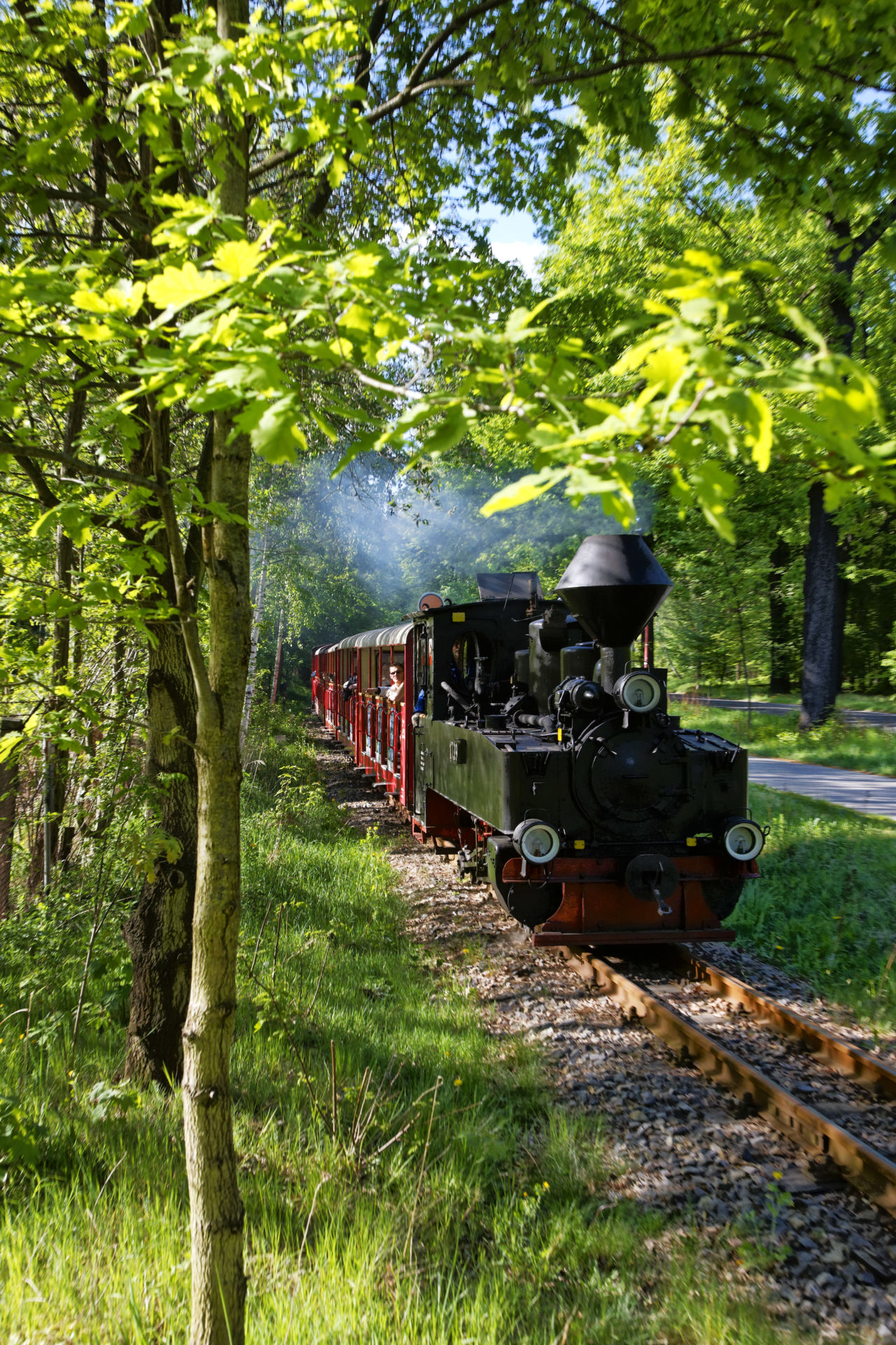 Eine alte Schmalspurbahn fährt durch einen Park