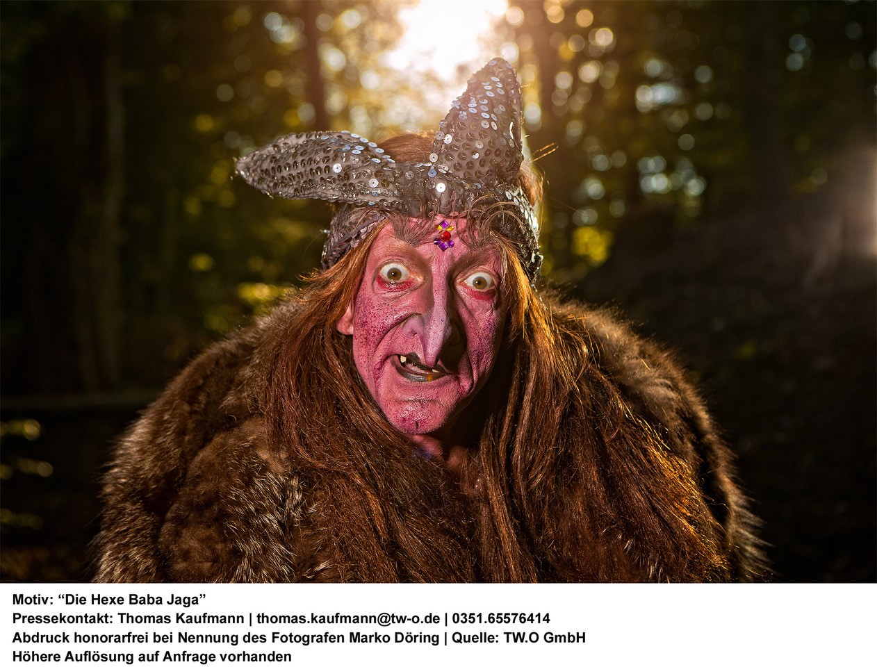 Bild: Die Hexe Baba Jaga - 21. Dezember 24