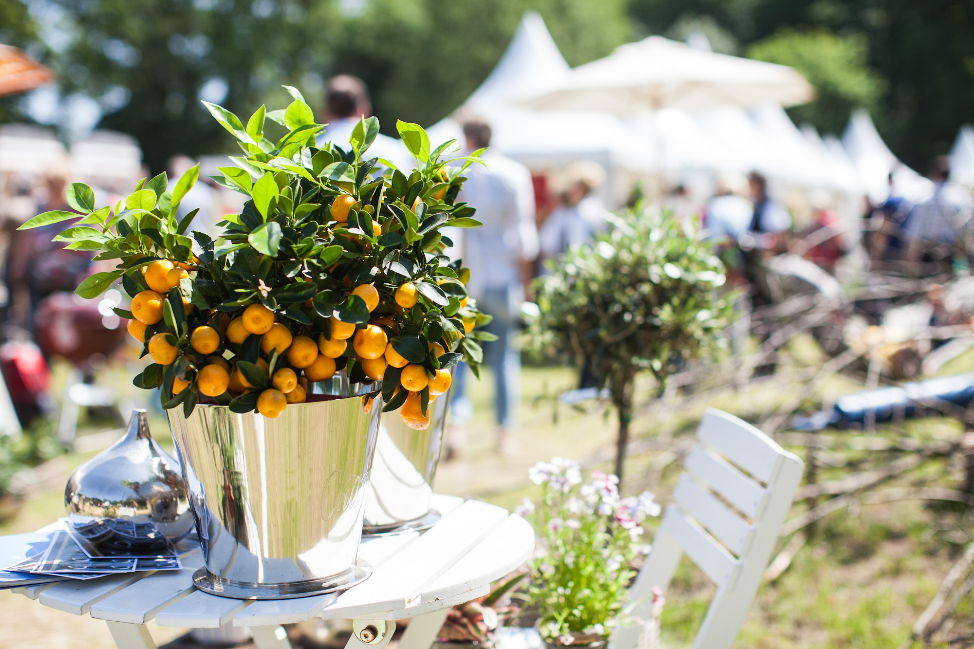 Bild: Gartenfestival Park und Schlos - 25. Mai 24