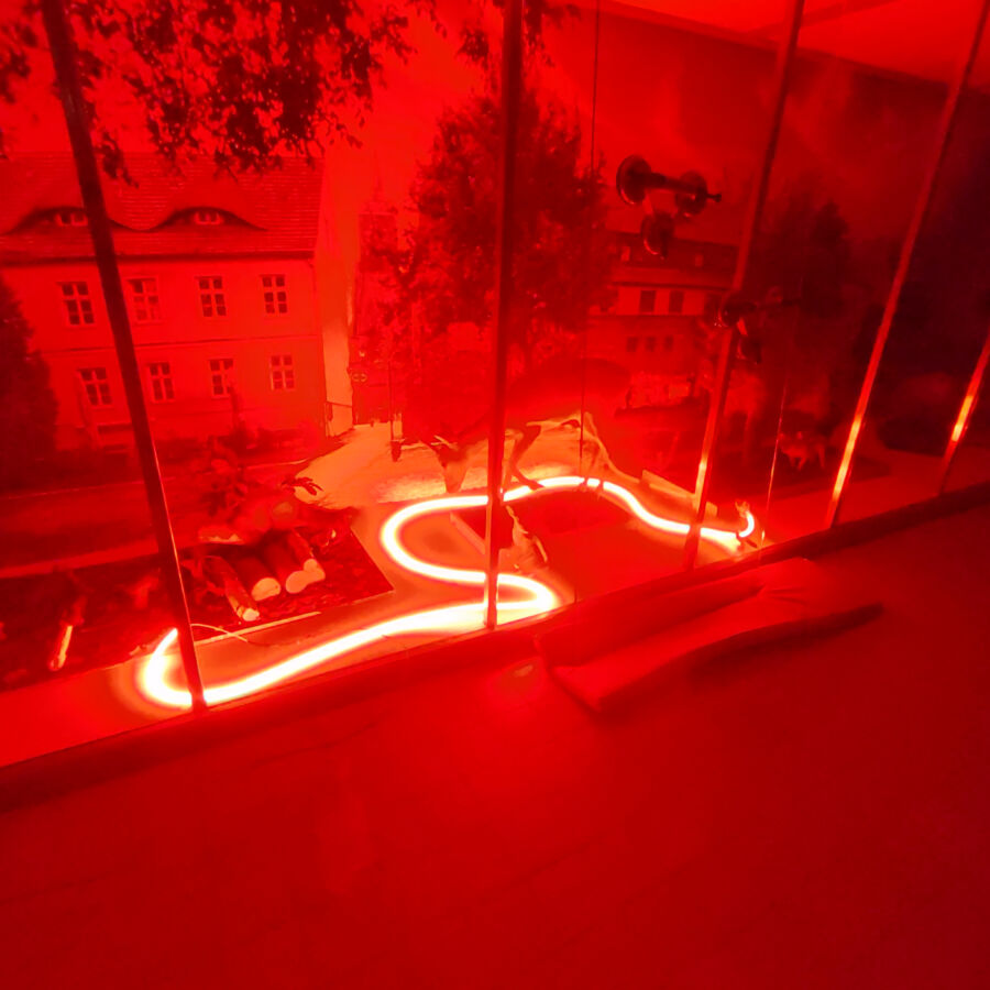 Bild: Nachts im Museum - 8. März 25