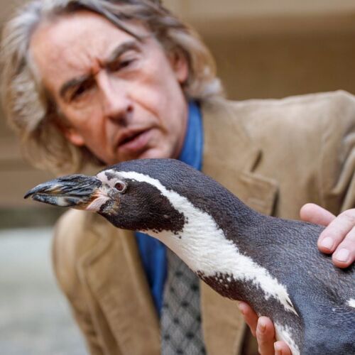 Bild: Der Pinguin meines Lebens - 26. August 25