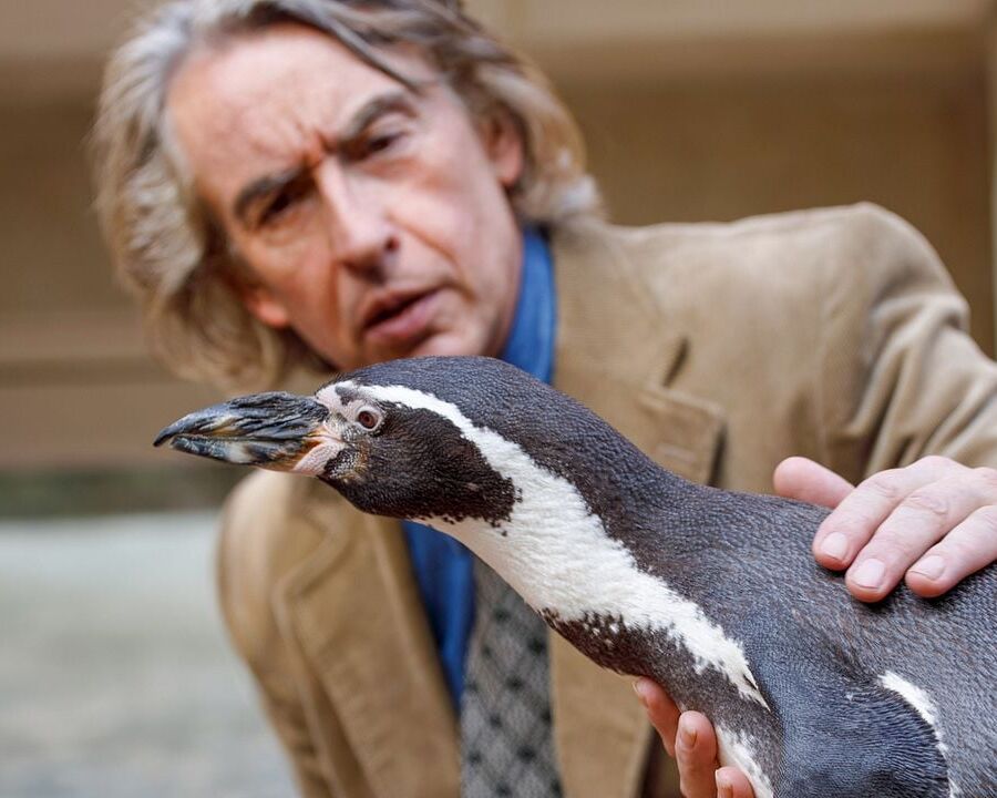 Bild: Der Pinguin meines Lebens - 26. August 25