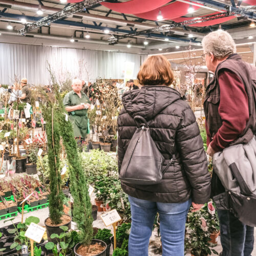 Bild: Gartenträume - 6. März 26