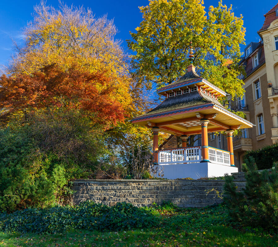 Bild: Cottbuser Lieblingsplätze: Al - 7. November 26