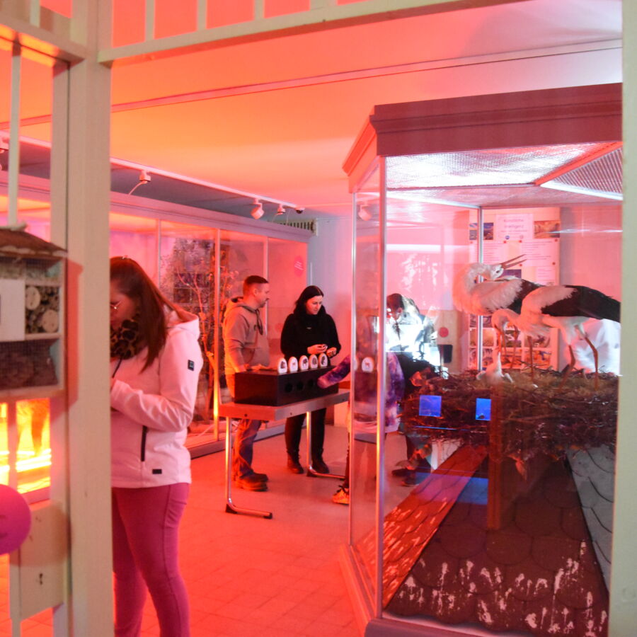 Bild: Nachts am Museum (Sa) - 7. März 26