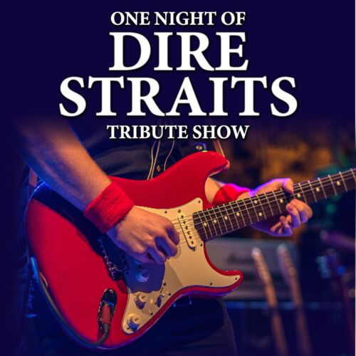 Bild: One Night of Dire Straits - Tr - 4. April 27