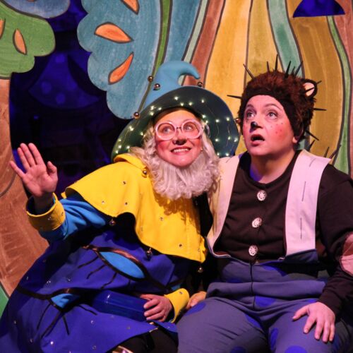 Bild: Kindervogelhochzeit - Musical  - 12. Februar 26