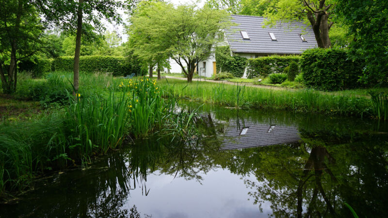 Ferienhaus am ParkCafé spiegelt sich im Froschteich