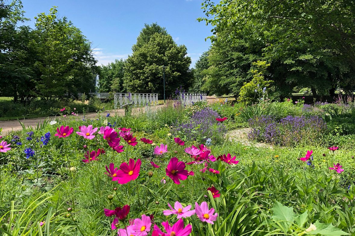 Spreeauenpark_Blumenbeet_nb Spreeauenpark_Blumenbeet_nb