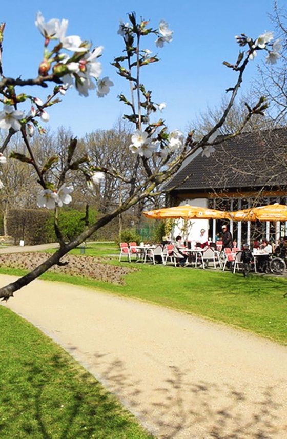 Spreeauenpark, ParkCafé im Frühling